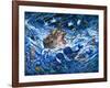 Noah's Voyage-Bill Bell-Framed Giclee Print