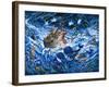 Noah's Voyage-Bill Bell-Framed Giclee Print