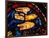 Noah Sends the Dove to See Whether the Waters Recede, from the Noah Window, 13th Century-null-Framed Giclee Print