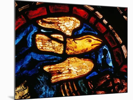 Noah Sends the Dove to See Whether the Waters Recede, from the Noah Window, 13th Century-null-Mounted Giclee Print