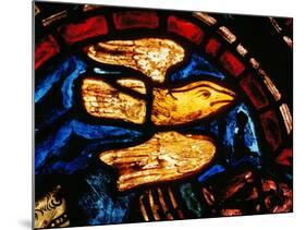Noah Sends the Dove to See Whether the Waters Recede, from the Noah Window, 13th Century-null-Mounted Giclee Print