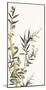 Noble Bamboo-Oriental School-Mounted Art Print
