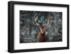 Noble Deer Male in Winter Snow Forest. Artistic Winter Christmas Landscape.-null-Framed Photographic Print