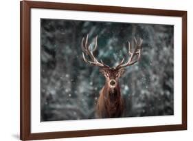 Noble Deer Male in Winter Snow Forest. Artistic Winter Christmas Landscape.-null-Framed Photographic Print