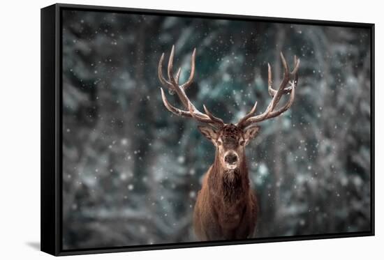 Noble Deer Male in Winter Snow Forest. Artistic Winter Christmas Landscape.-null-Framed Stretched Canvas