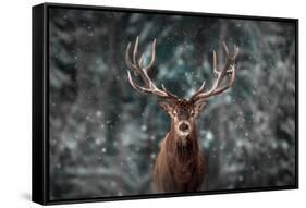 Noble Deer Male in Winter Snow Forest. Artistic Winter Christmas Landscape.-null-Framed Stretched Canvas