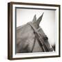 Noble Gaze-Joseph Eta-Framed Giclee Print