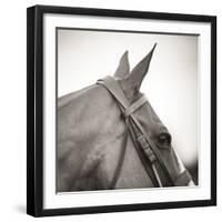 Noble Gaze-Joseph Eta-Framed Giclee Print