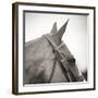 Noble Gaze-Joseph Eta-Framed Giclee Print