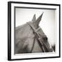 Noble Gaze-Joseph Eta-Framed Giclee Print