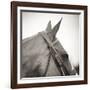 Noble Gaze-Joseph Eta-Framed Giclee Print