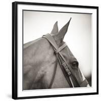 Noble Gaze-Joseph Eta-Framed Giclee Print