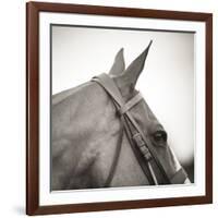 Noble Gaze-Joseph Eta-Framed Giclee Print