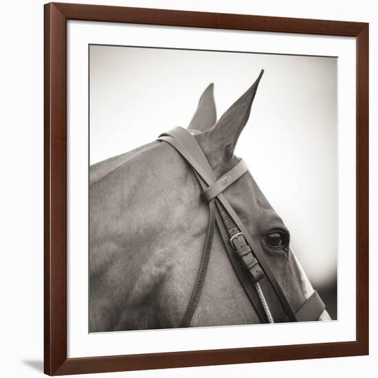 Noble Gaze-Joseph Eta-Framed Giclee Print