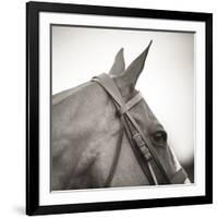 Noble Gaze-Joseph Eta-Framed Giclee Print