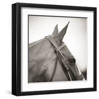 Noble Gaze-Joseph Eta-Framed Giclee Print