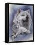Noble Intensity-Barbara Keith-Framed Stretched Canvas
