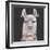 Noble Llama II-Julie Silver-Framed Giclee Print