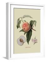 Noble Peach-William Hooker-Framed Art Print