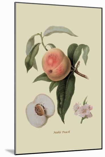 Noble Peach-William Hooker-Mounted Art Print