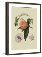 Noble Peach-William Hooker-Framed Art Print