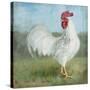 Noble Rooster I  Vintage No Border-Danhui Nai-Stretched Canvas