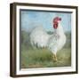 Noble Rooster I  Vintage No Border-Danhui Nai-Framed Art Print