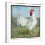 Noble Rooster I  Vintage No Border-Danhui Nai-Framed Art Print