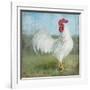 Noble Rooster I  Vintage No Border-Danhui Nai-Framed Art Print