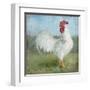 Noble Rooster I  Vintage No Border-Danhui Nai-Framed Art Print