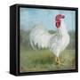 Noble Rooster I  Vintage No Border-Danhui Nai-Framed Stretched Canvas