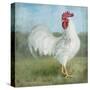 Noble Rooster I  Vintage No Border-Danhui Nai-Stretched Canvas