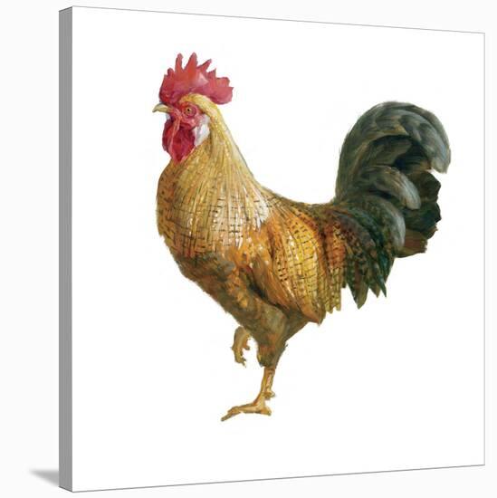 Noble Rooster II on White-Danhui Nai-Stretched Canvas