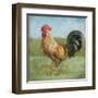 Noble Rooster II Vintage No Border-Danhui Nai-Framed Art Print