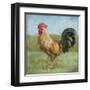 Noble Rooster II Vintage No Border-Danhui Nai-Framed Art Print