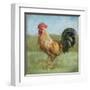 Noble Rooster II Vintage No Border-Danhui Nai-Framed Art Print