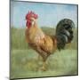 Noble Rooster II Vintage No Border-Danhui Nai-Mounted Art Print