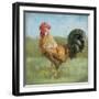 Noble Rooster II Vintage No Border-Danhui Nai-Framed Art Print