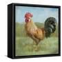 Noble Rooster II Vintage No Border-Danhui Nai-Framed Stretched Canvas