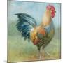 Noble Rooster III Vintage No Border-Danhui Nai-Mounted Art Print