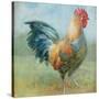 Noble Rooster III Vintage No Border-Danhui Nai-Stretched Canvas