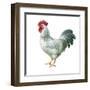 Noble Rooster IV on White-Danhui Nai-Framed Art Print