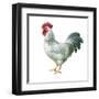 Noble Rooster IV on White-Danhui Nai-Framed Art Print