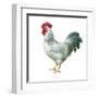 Noble Rooster IV on White-Danhui Nai-Framed Art Print