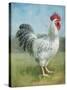 Noble Rooster IV v.2 Vintage No Border-Danhui Nai-Stretched Canvas