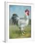 Noble Rooster IV v.2 Vintage No Border-Danhui Nai-Framed Art Print