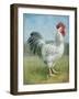 Noble Rooster IV v.2 Vintage No Border-Danhui Nai-Framed Art Print