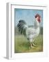 Noble Rooster IV v.2 Vintage No Border-Danhui Nai-Framed Art Print