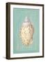 Noble Shell-Hardenbrook Studio-Framed Art Print