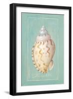 Noble Shell-Hardenbrook Studio-Framed Art Print